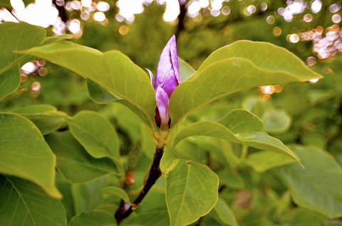 The Glasshouse Boutique Accommodation - Accommodation Melbourne 2