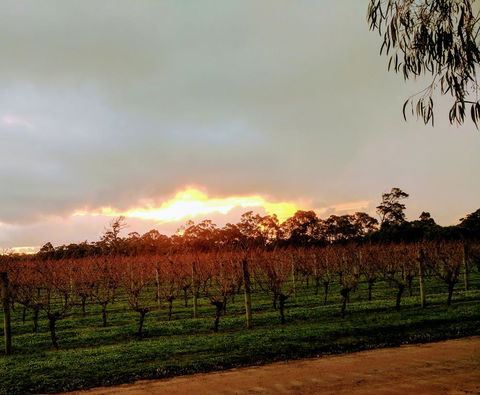 The Grove Distillery & Brewery - Accommodation Melbourne 2