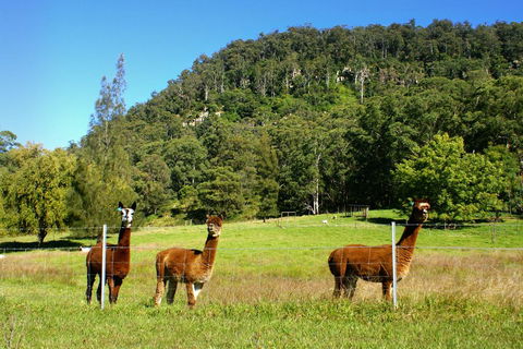 The Heavens Mountain Escape - Accommodation Melbourne 2