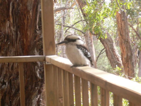 The Ledge Holiday House - Accommodation Melbourne 0
