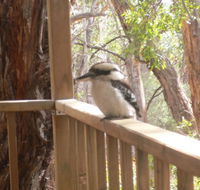 The Ledge Holiday House - Accommodation Melbourne