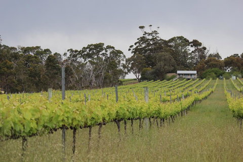 The Sleeping Lady Private Retreat - Accommodation Melbourne 2