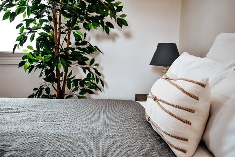 The Spa Cottage - Accommodation Melbourne 1