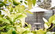 The Spa Cottage - thumb 0