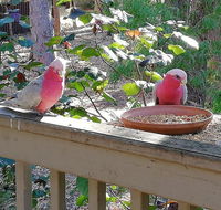 The Treehouse In Dawesville - Accommodation Melbourne