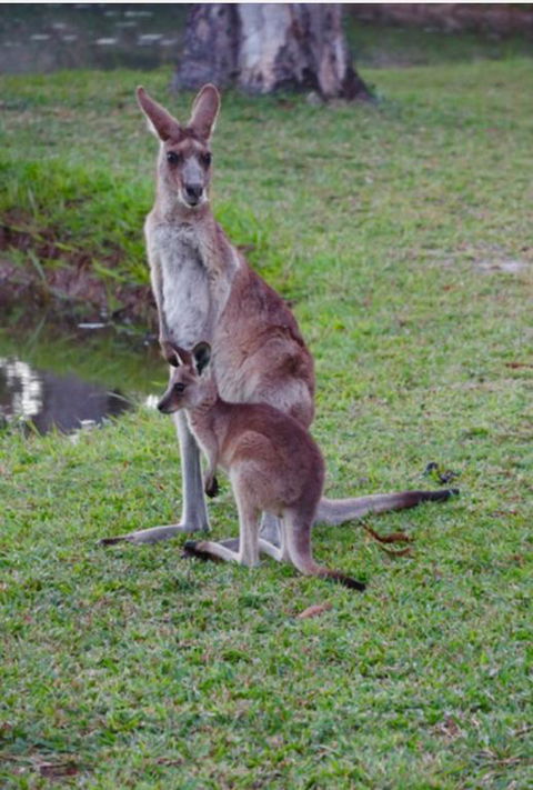 The Zen Den Adults Only - Accommodation Melbourne 3