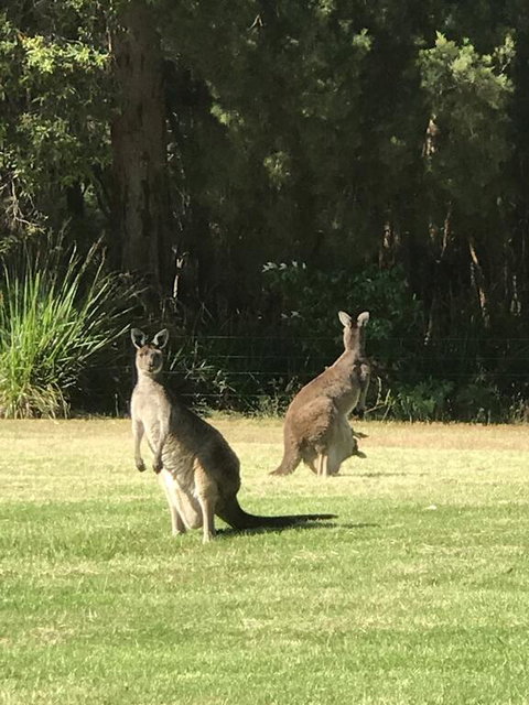 Tinglewood Cabins - Accommodation Melbourne 2