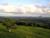 Book Maleny Accommodation Vacations Accommodation Melbourne Accommodation Melbourne