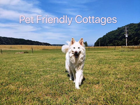 Twelve Apostles Motel & Country Retreat - Accommodation Melbourne 2