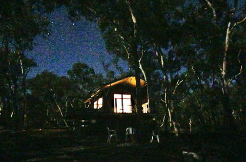 Wallabies Rest - Melbourne 4u 2