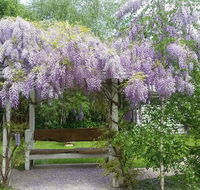 Amelina Cottages - Accommodation Melbourne