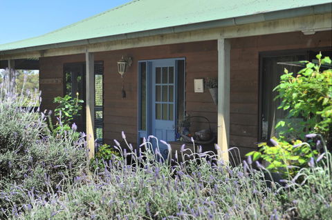 Lavender Farm - Accommodation Melbourne 8