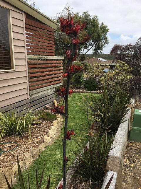 The PC Cottage - Accommodation Melbourne 31