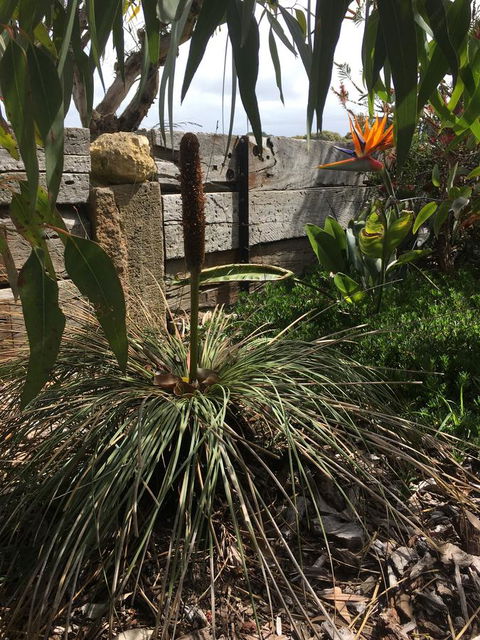 The PC Cottage - Accommodation Melbourne 32