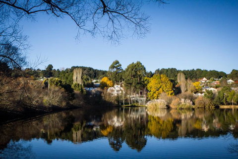 Chestnut Daylesford - Accommodation Melbourne 14