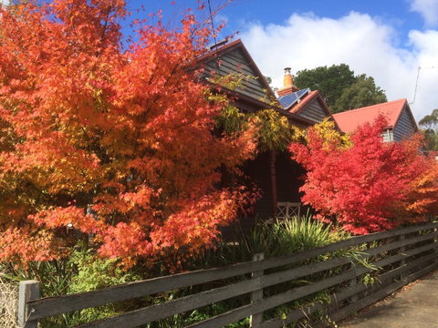 Chestnut Daylesford - Accommodation Melbourne 13