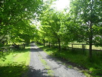 Book Wonga Park Accommodation Vacations Accommodation Melbourne Accommodation Melbourne