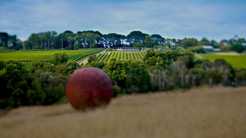 Sunryes Beach House - Accommodation Melbourne 35