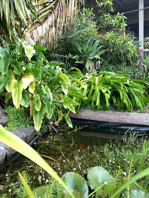 Sunryes Beach House - Accommodation Melbourne 30