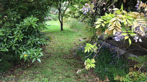 Lorelei Bed & Breakfast - Accommodation Melbourne 10