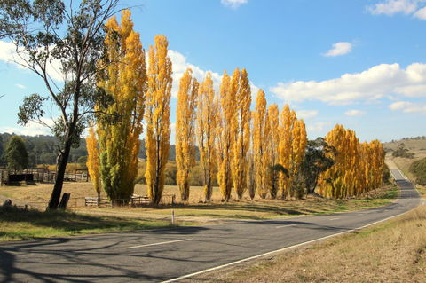 3 Bells Alpine Cottage - Accommodation Melbourne 20