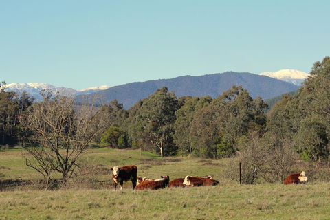 3 Bells Alpine Cottage - Accommodation Melbourne 21
