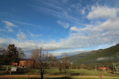 3 Bells Alpine Cottage - Accommodation Melbourne 26