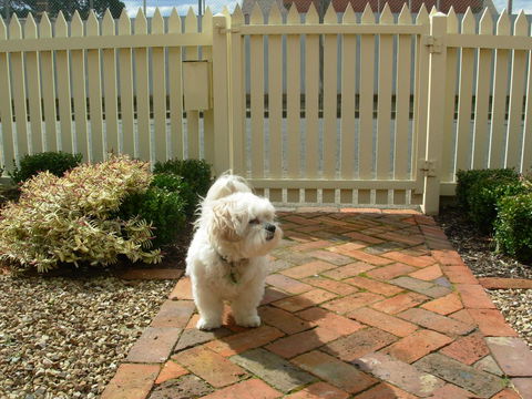 Sabina On Little Myers - Accommodation Melbourne 24
