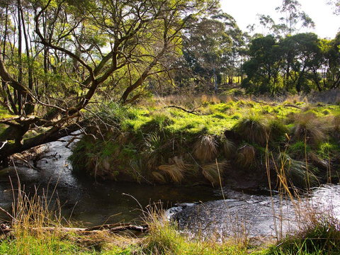 Green Gully House - Accommodation Melbourne 5