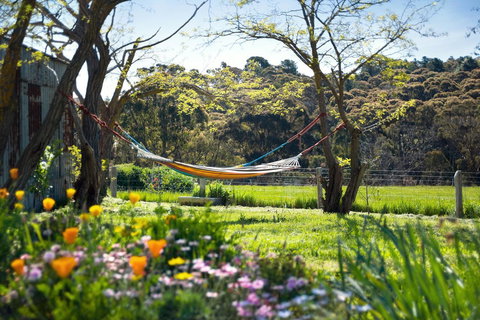 Cabrito - Accommodation Melbourne 3