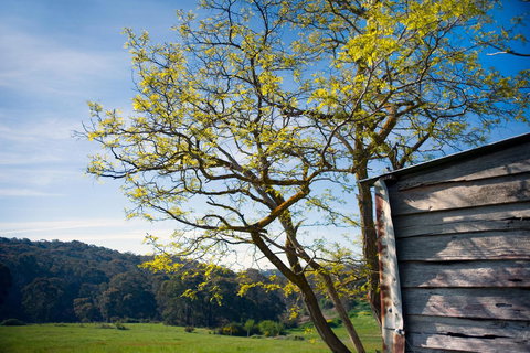 Cabrito - Accommodation Melbourne 9