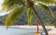 Sails On Horseshoe - thumb 32