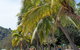 Sails On Horseshoe - thumb 14