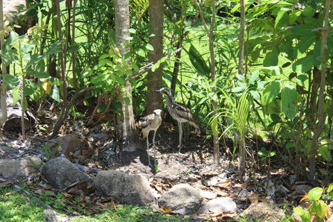 Amaroo On Mandalay, Magnetic Island - Accommodation Melbourne 40
