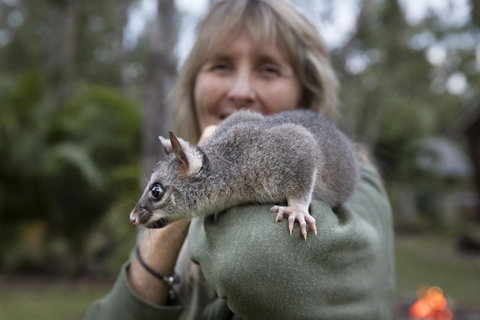 Airlie Beach Eco Cabins - Adults Only - Accommodation Melbourne 11