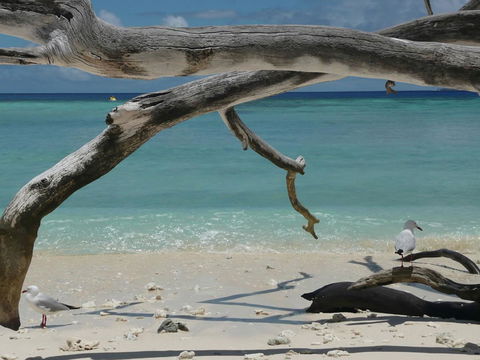 Beach Club Port Douglas Luxury Apartments - Accommodation Melbourne 23