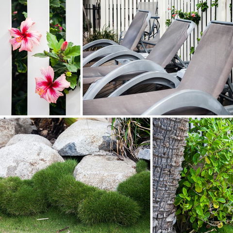 Coolum Caprice - Accommodation Melbourne 22