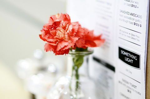 Madison Plaza Townsville - Accommodation Melbourne 20