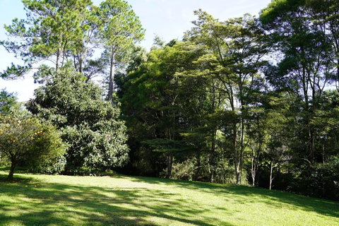 McCarthy Grove Maleny - Accommodation Melbourne 2