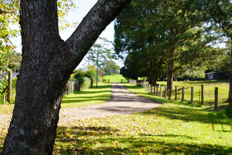 McCarthy Grove Maleny - Accommodation Melbourne 3