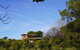 McCarthy Grove Maleny - thumb 4