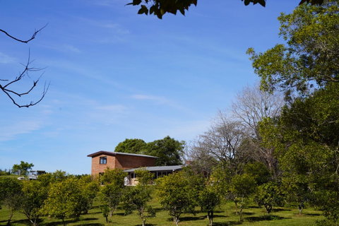 McCarthy Grove Maleny - Accommodation Melbourne 4