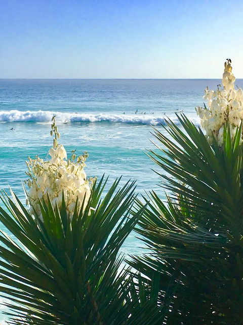 Oceania On Burleigh Beach - Accommodation Melbourne 21