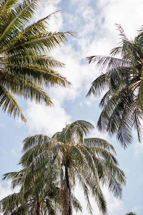 Novotel Cairns Oasis Resort - Accommodation Melbourne 9