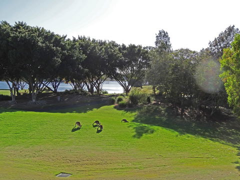 Waterfront Resort Villa With Buggy - Accommodation Melbourne 32