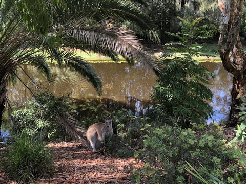 Waterfront Resort Villa With Buggy - Accommodation Melbourne 25