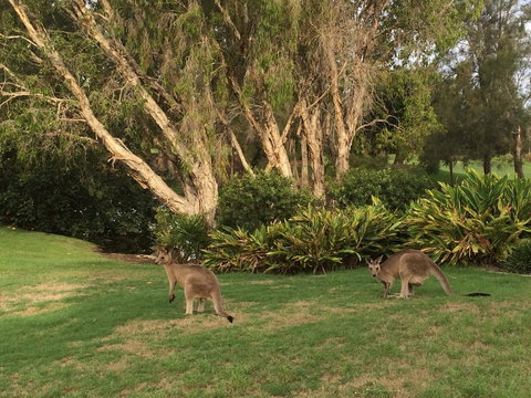 Waterfront Resort Villa With Buggy - Accommodation Melbourne 19