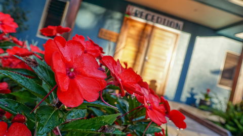 Blue Summit Hideaway - Accommodation Melbourne 1