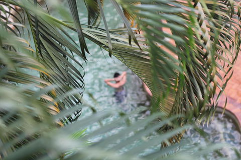 Coral Tree Inn - Accommodation Melbourne 36