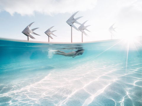 Coral Tree Inn - Accommodation Melbourne 39